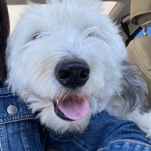 Meet your Posher, Ke